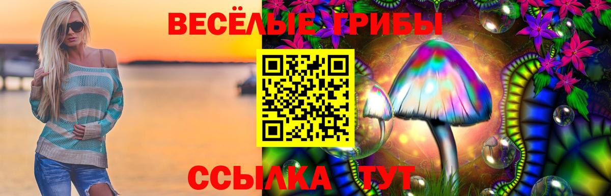 Галлюциногенные грибы мицелий  Вход с VPN  Галлюциногенные грибы Cubensis  Великие Луки 